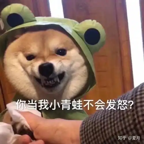 小红书表情包图片小青蛙