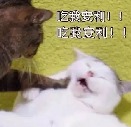  斗图小表情9.7