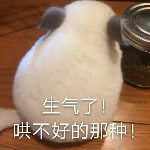  从创造101走出来的女孩子居然都这么有才华