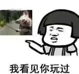 群里请勿发表情包乌鸡