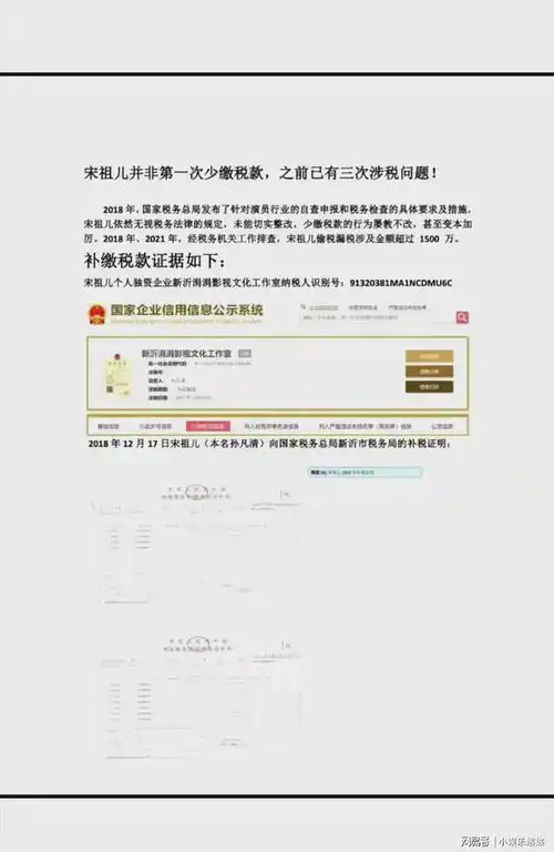  震惊我了宋祖儿偷税实锤五年挣3.17亿,晾凉后还背几十万的包