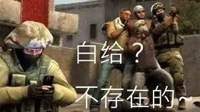 csgo陀螺表情包白给