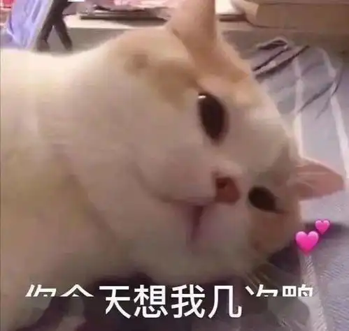  今天的表情包很可爱错过要哭