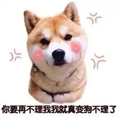  别说你是单身狗狗的老婆满街走表情图片单身狗吃你家大米了表情包下载乐游网游戏下载