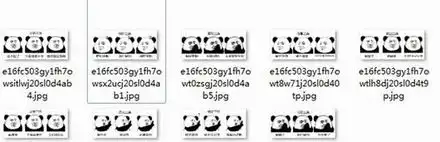  熊猫头三连qq表情包免费版下载