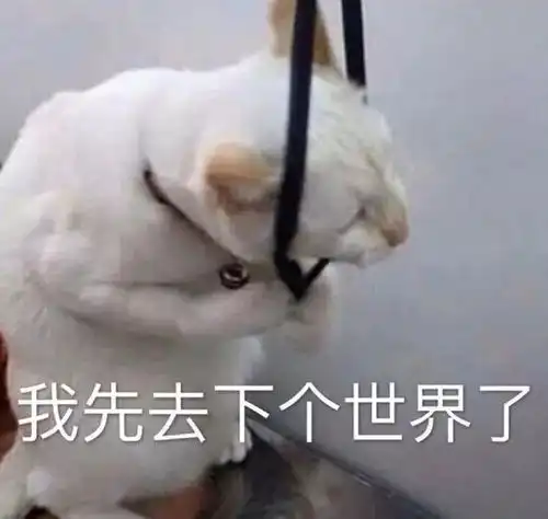  用你所学的专业说句狠话