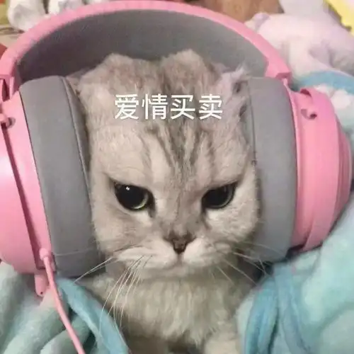 表情包存图就完事
