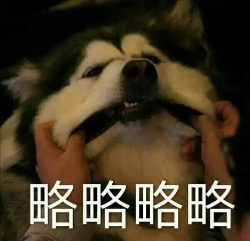  头发多是怎样一种体验