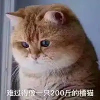  这么大表情包