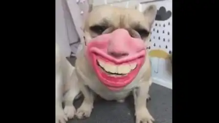  哈哈呵呵