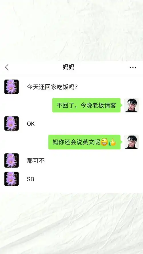  不回了,今晚老板请客沙雕聊天搞笑视频