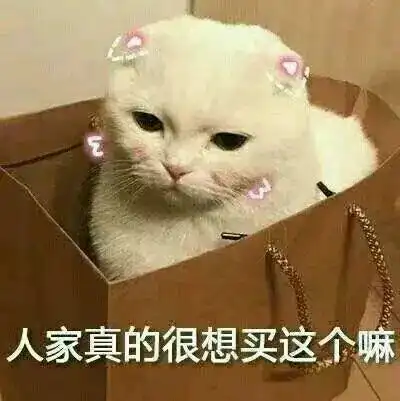 猫猫表情包高清男朋友
