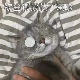  神秘力量助我走向人生巅峰
