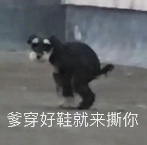  2020第一惨案每天设计100张图,三分钟要一次