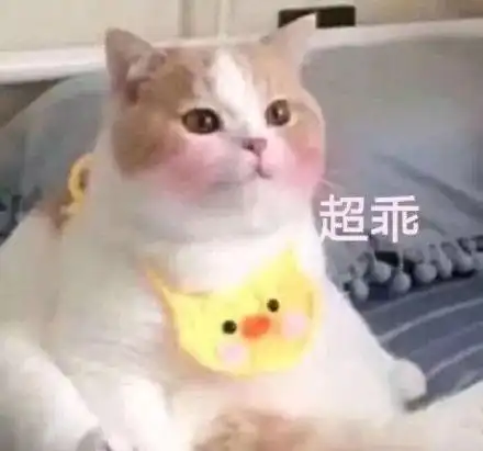  小可爱专用表情包睡捉了,阔以亲窝了
