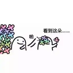  花花收下表情包