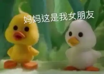  丁程鑫小黄鸭表情包大赠送20