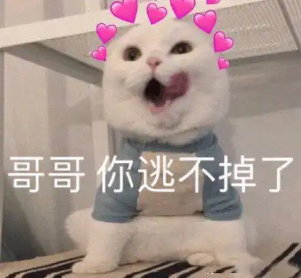  有没有适合情侣之间发的表情包
