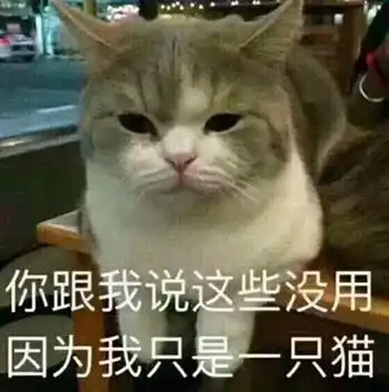  这些德国小众护肤品价格不过百,还好用到流泪