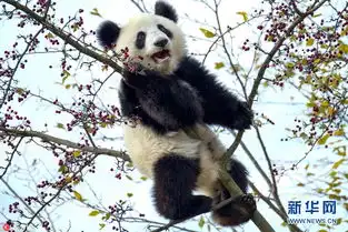 无标题