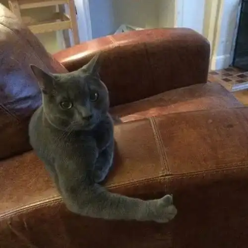  嘿这位宝宝,你有这么棒你知道吗