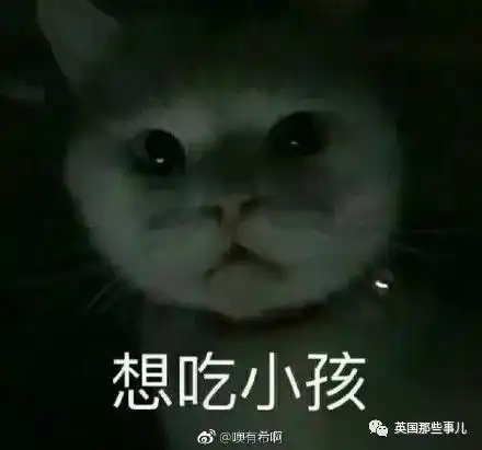 隐秘的角落表情包视频小
