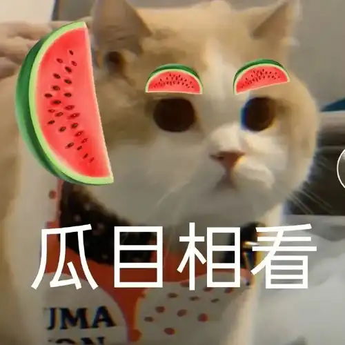  和男朋友打情骂俏的沙雕猫咪表情包