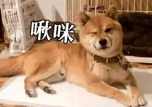  一一解答艺人动向总爱溜粉的杨贤硕终于站出来说清楚了