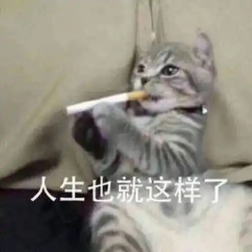 zfont表情包免费下载生