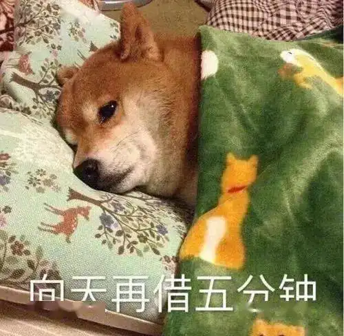 周一见表情包起床