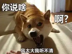  台风白鹿生成直奔东南沿海接下来磐安的天气......