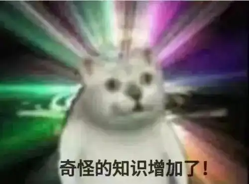 猫猫表情包高清家书