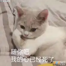  突然冷群表情包图片被凶的不敢吱声表情包下载乐游网游戏下载