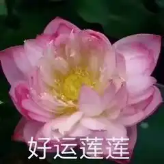 叫爸爸表情包图片大全荷