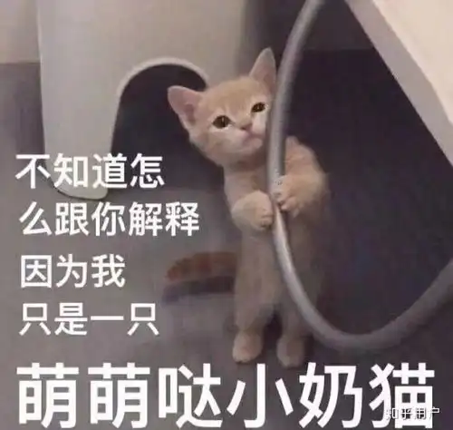  怎么才能拥有沈以诚的声音