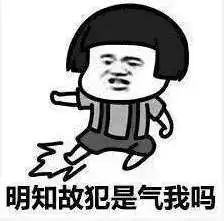 表情包抖音套路