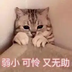  大热的正骨潮是不是智商税重庆妹儿亲身体验一遭被痛到惨叫