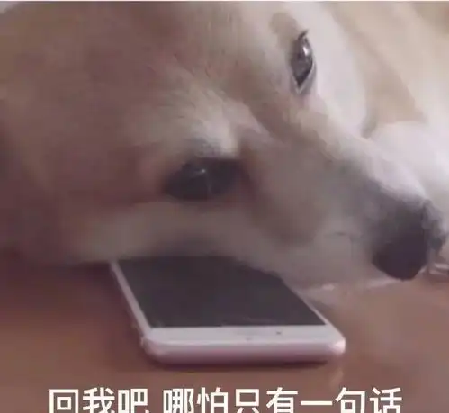 抢购信息表情包狗子