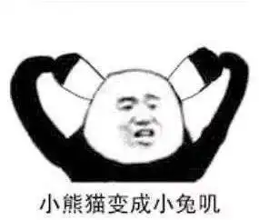  熊猫头表情包i我错在这辈子太穷了