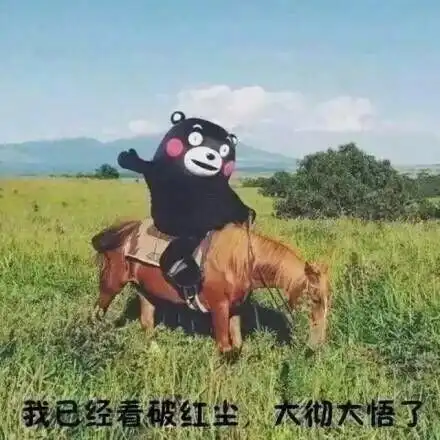 双马尾大汉表情包