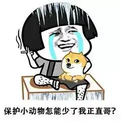  做人一定要正直不然会被做成表情包哦下