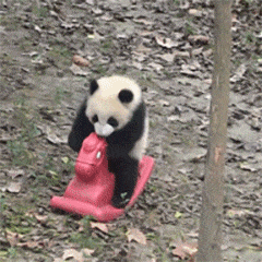  好可爱的熊猫表情包好气哦,可是还要保持微笑