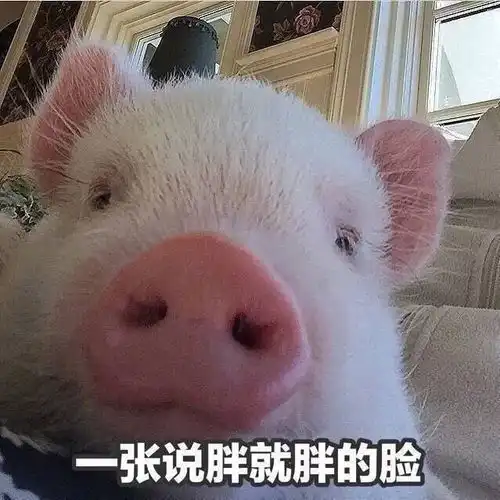 细思极恐过年前vs过年后的你,最后一个扎心了...