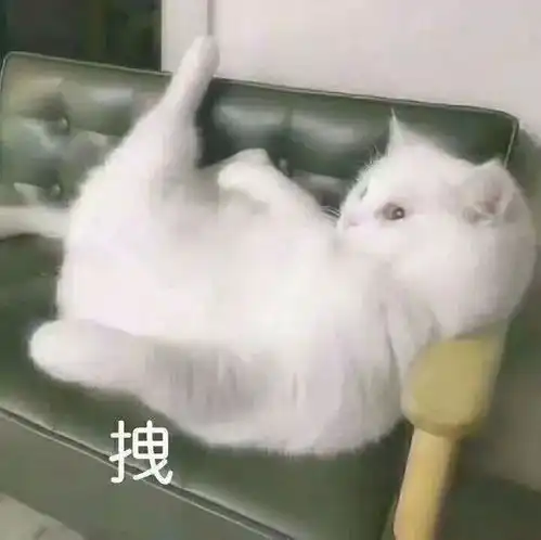  冬天来啦