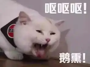  表情包你表情包太多,不想和你聊了