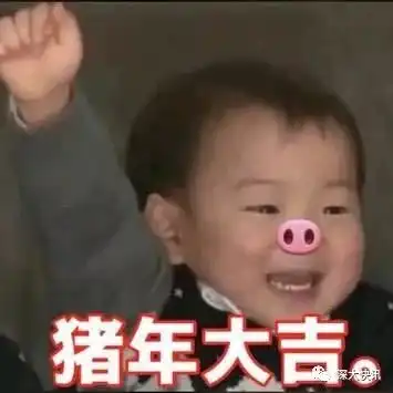 深大人拜年急救攻略很实用现在看还来得及深大快讯