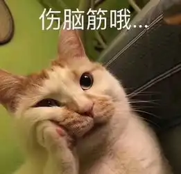 妙啊表情包小胖子猫窝