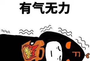  又一实战文,关于荷兰猪软便,便秘,胀气等肠胃问题