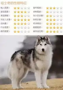 其实哈士奇是注定要成为表情包的狗