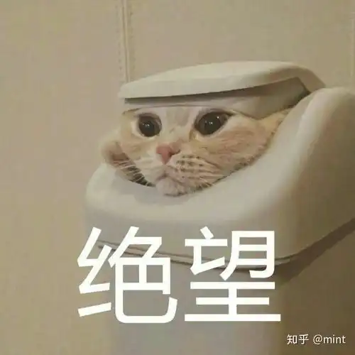  赵寅成宋仲基咋了